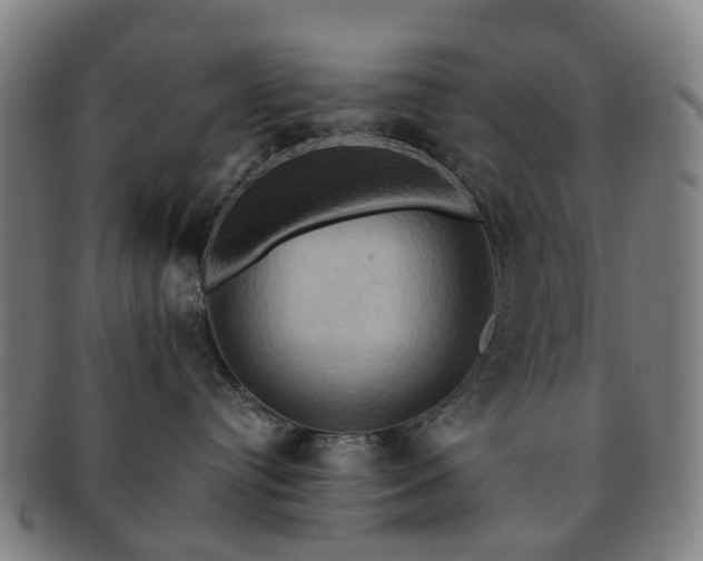 X0000091580384200708271226