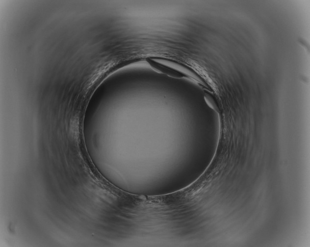 X0000091580386200708271225