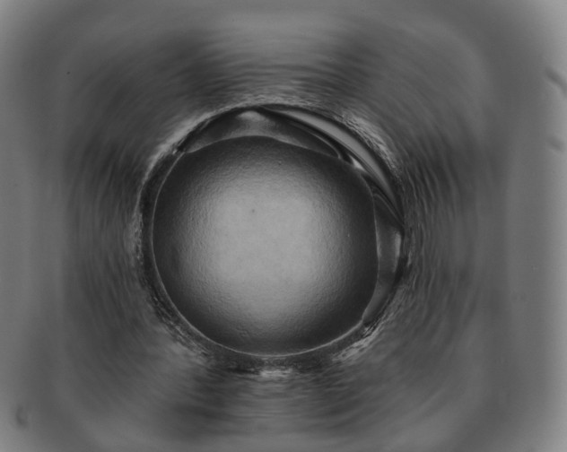 X0000091580388200708271225