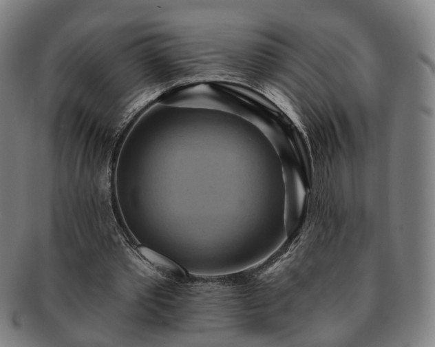 X0000091580389200708271225