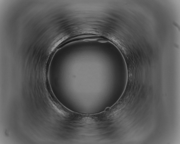 X0000091580390200708271225