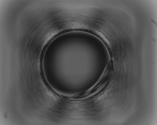 X0000091580391200708271225