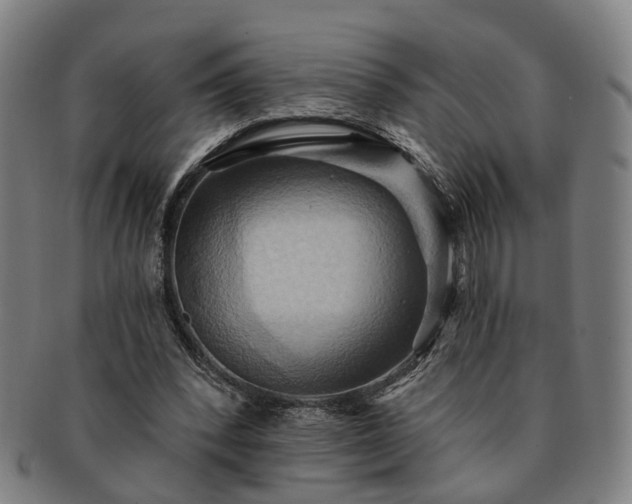 X0000091580392200708271225
