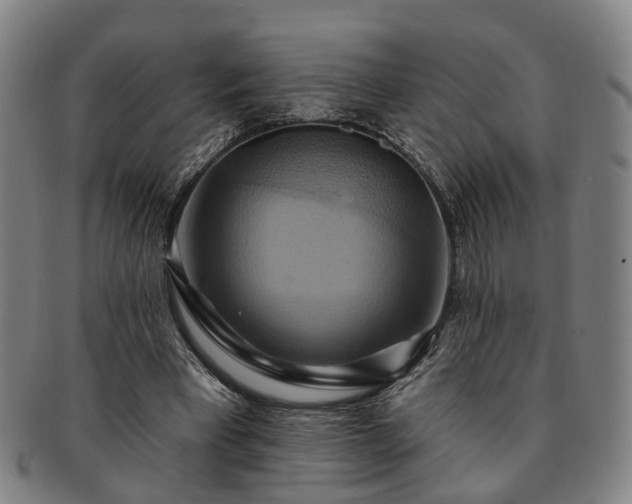X0000091580393200708271225