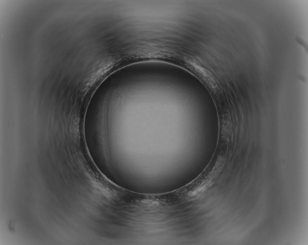 X0000091580394200708271225