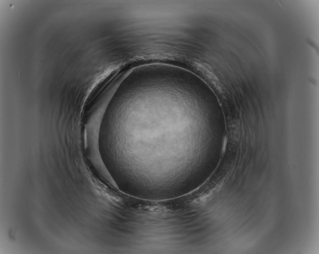 X0000091580395200708271225