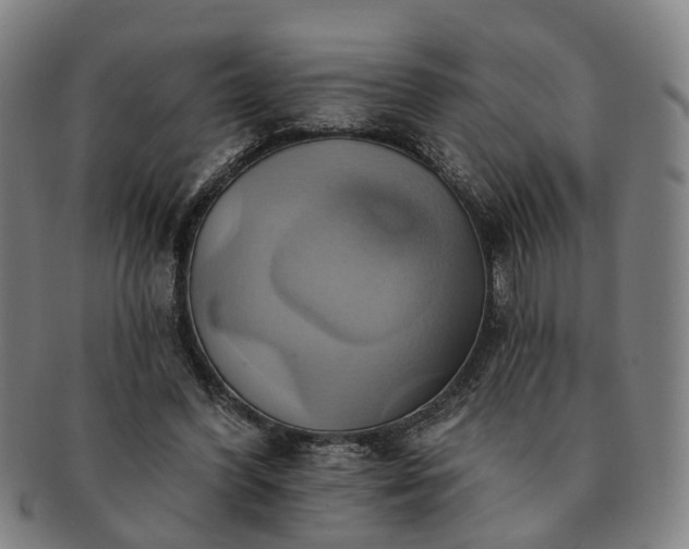 X0000091580396200708271225