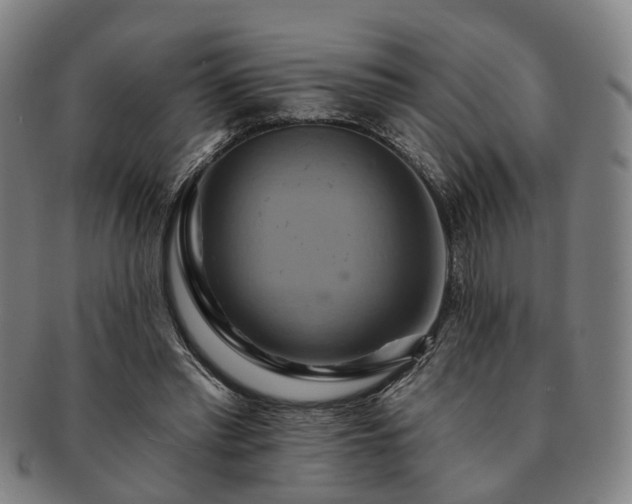X0000091580397200708271225