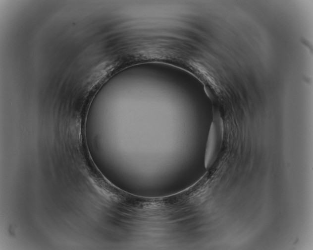 X0000091580398200708271225