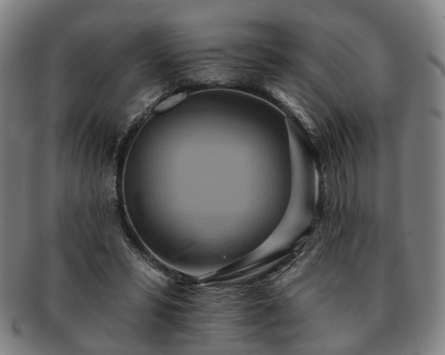 X0000091580399200708271225