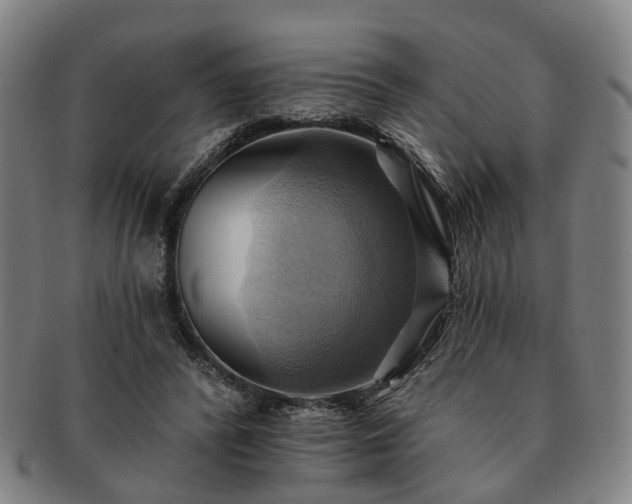 X0000091580400200708271225