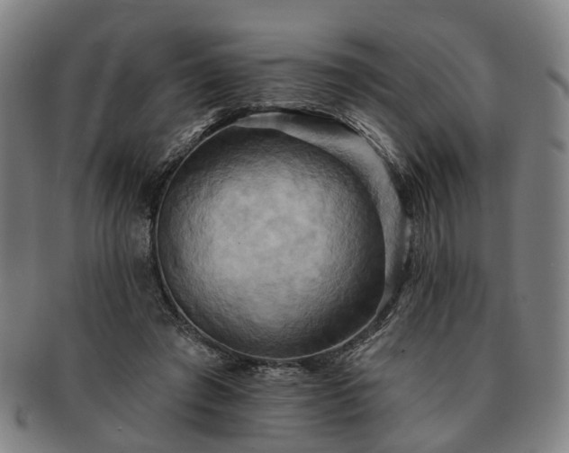 X0000091580401200708271225