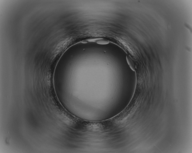 X0000091580402200708271225
