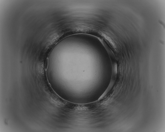 X0000091580403200708271225