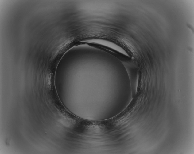 X0000091580404200708271225