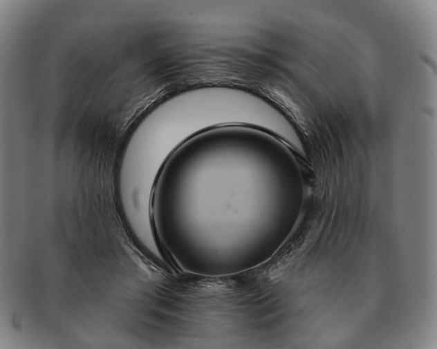 X0000091580405200708271225