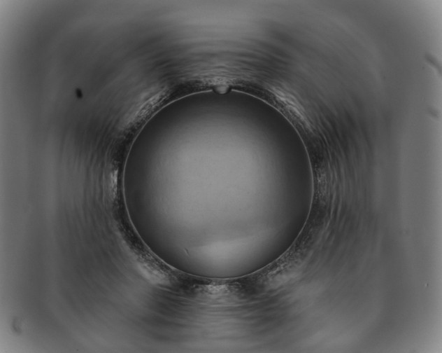 X0000091580406200708271225