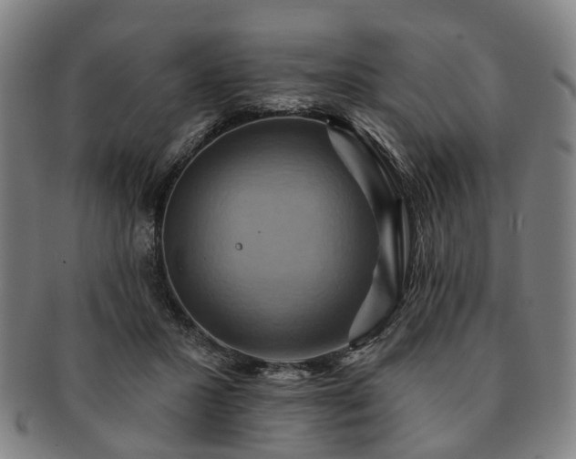 X0000091580407200708271225