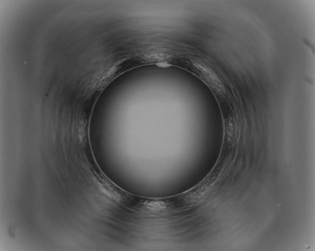X0000091580409200708271225