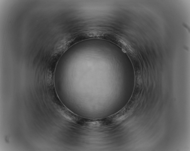 X0000091580411200708271225