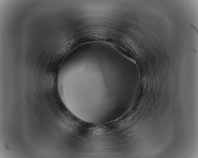 X0000091580412200708271225