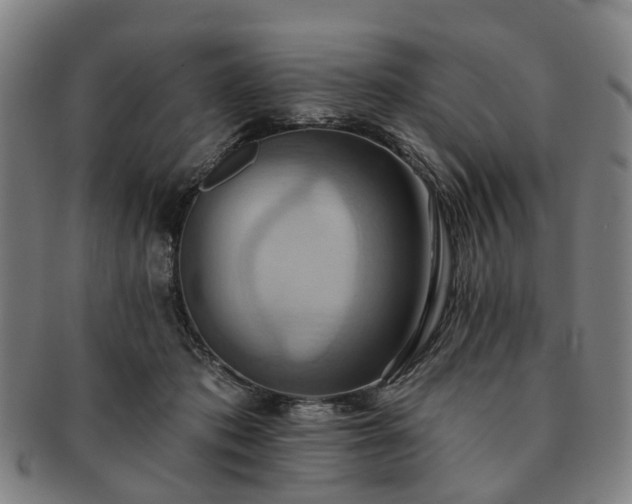 X0000091580413200708271225