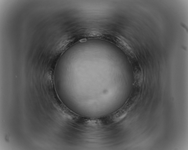 X0000091580415200708271225