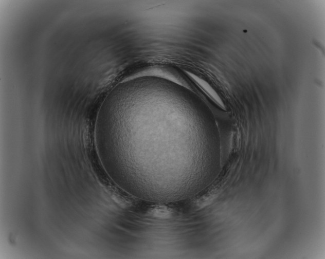 X0000091580416200708271225