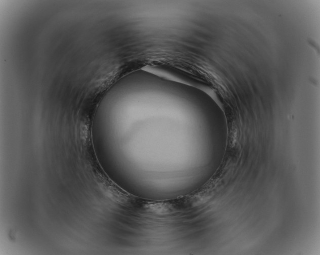 X0000091580417200708271225