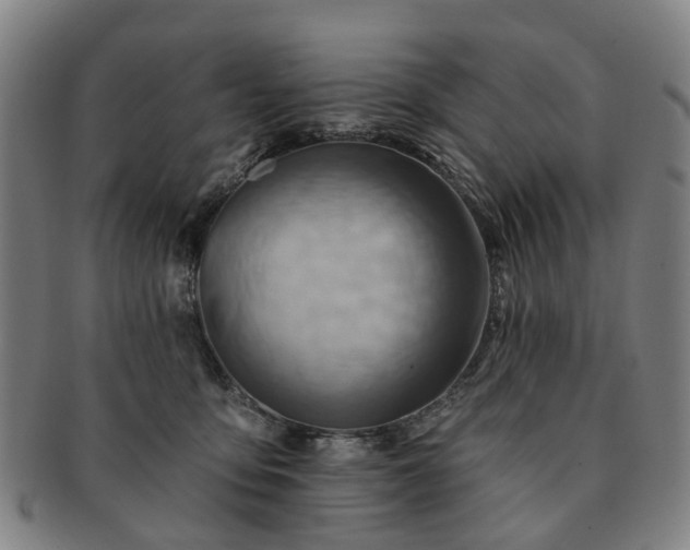 X0000091580419200708271224