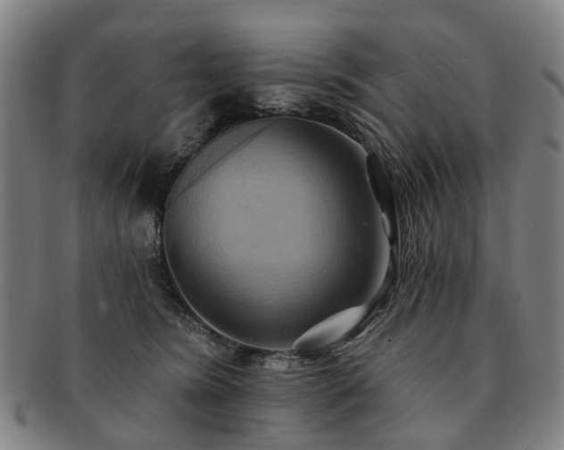 X0000091580420200708271224