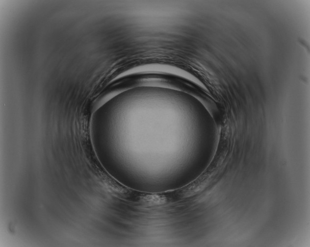 X0000091580421200708271224