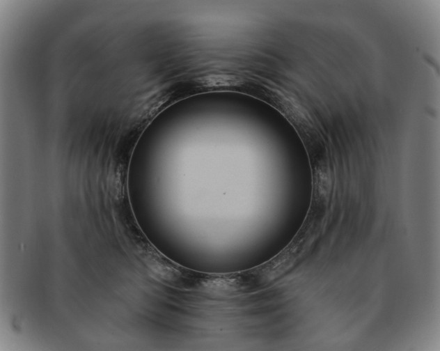 X0000091580422200708271224