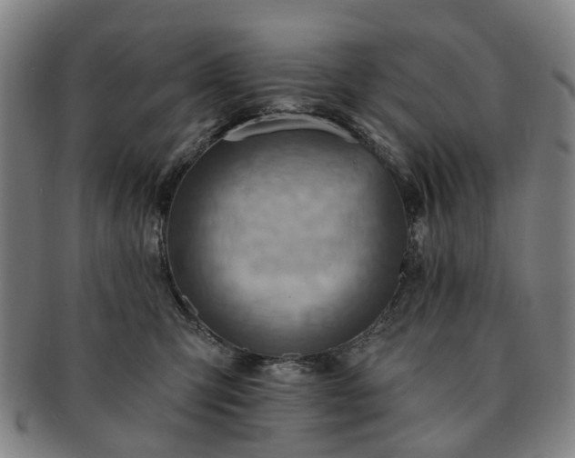 X0000091580423200708271224