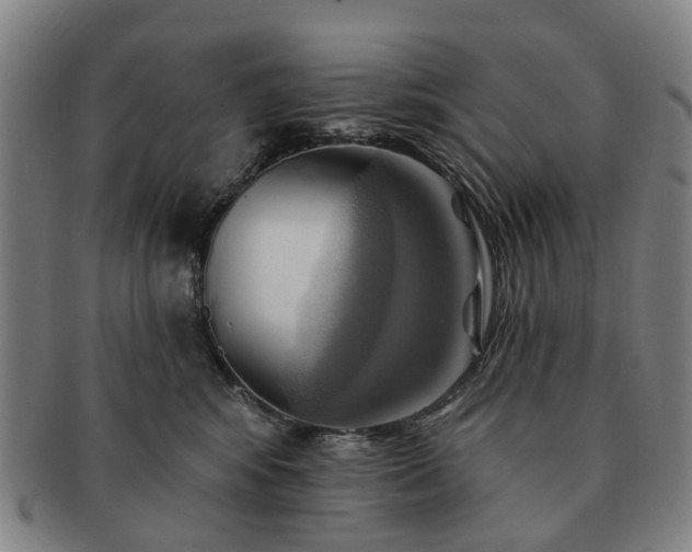 X0000091580424200708271224