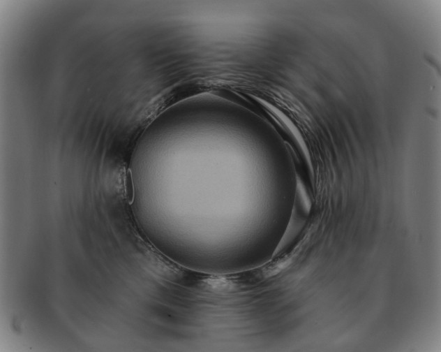 X0000091580425200708271224