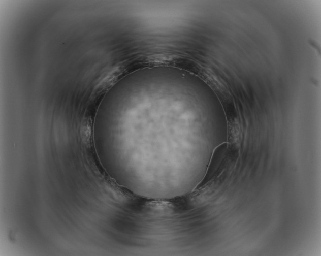 X0000091580427200708271224