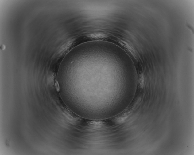 X0000091580428200708271224