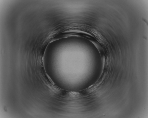 X0000091580429200708271224