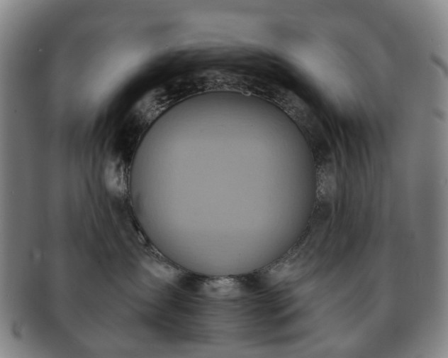 X0000091580431200708271224