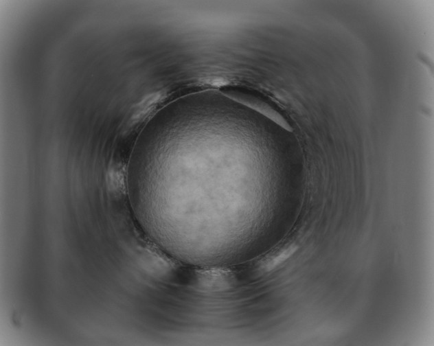 X0000091580432200708271224