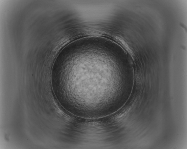 X0000091580433200708271223