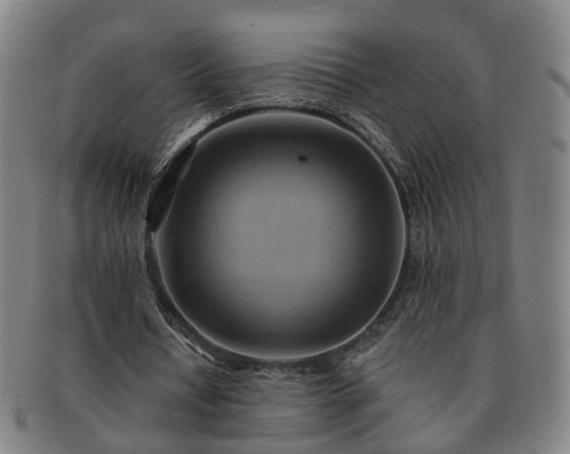 X0000091580434200708271223