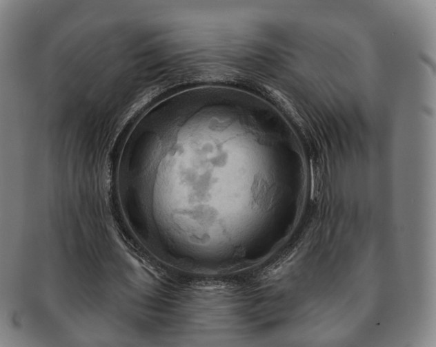 X0000091580435200708271223