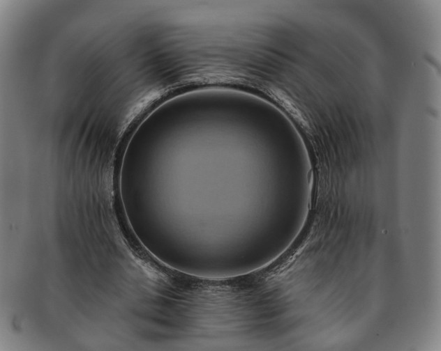 X0000091580438200708271224
