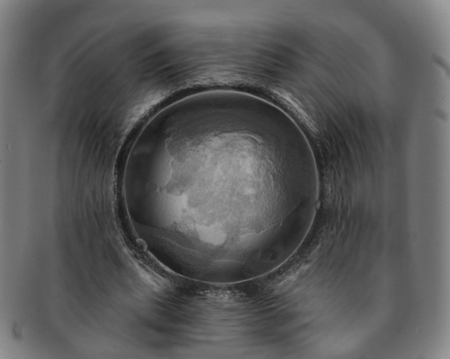 X0000091580439200708271224