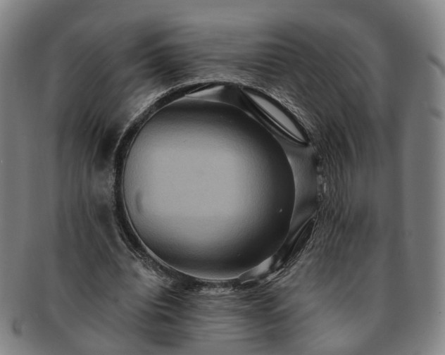 X0000091580440200708271224