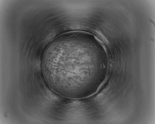 X0000091580441200708271224