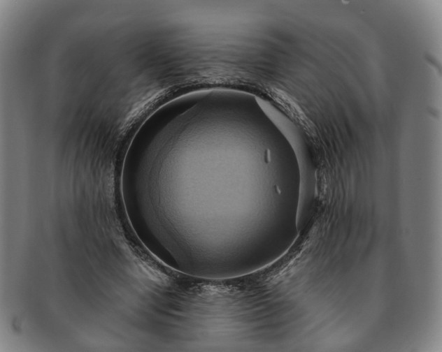X0000091580442200708271224