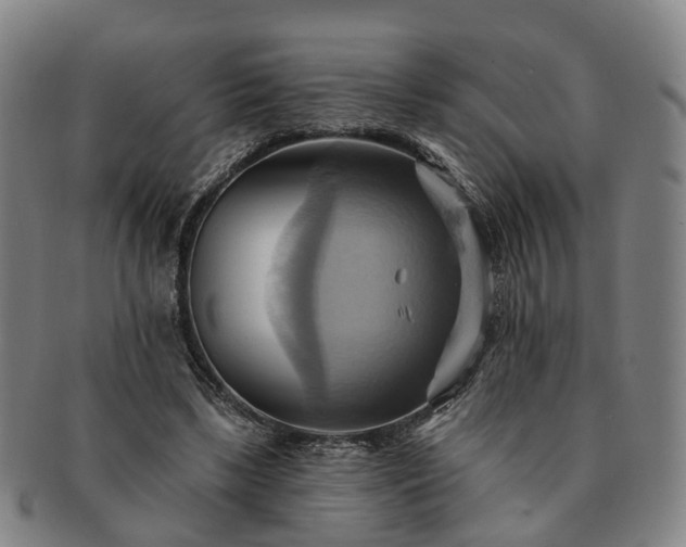 X0000091580443200708271224